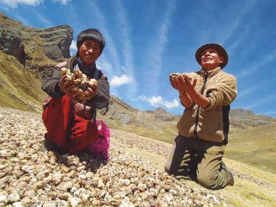 Criando al paisaje y agua vivos y conscientes