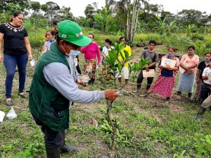 Evolución de la investigación y extensión agraria en el Perú
