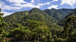 Relaciones entre los Andes y la Amazonía: cambios y continuidades