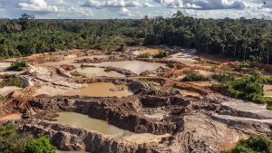 Expandiendo la economía del crimen: la minería ilegal como amenaza a la naturaleza y los pueblos indígenas