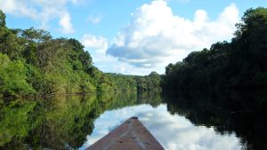 Escasez de tierra un nuevo desafío para la sostenibilidad de los Territorios Indígenas de la Amazonía peruana