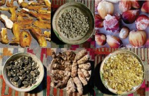 Conservación de alimentos. Desde los saberes ancestrales hasta prácticas actuales en la zona andina