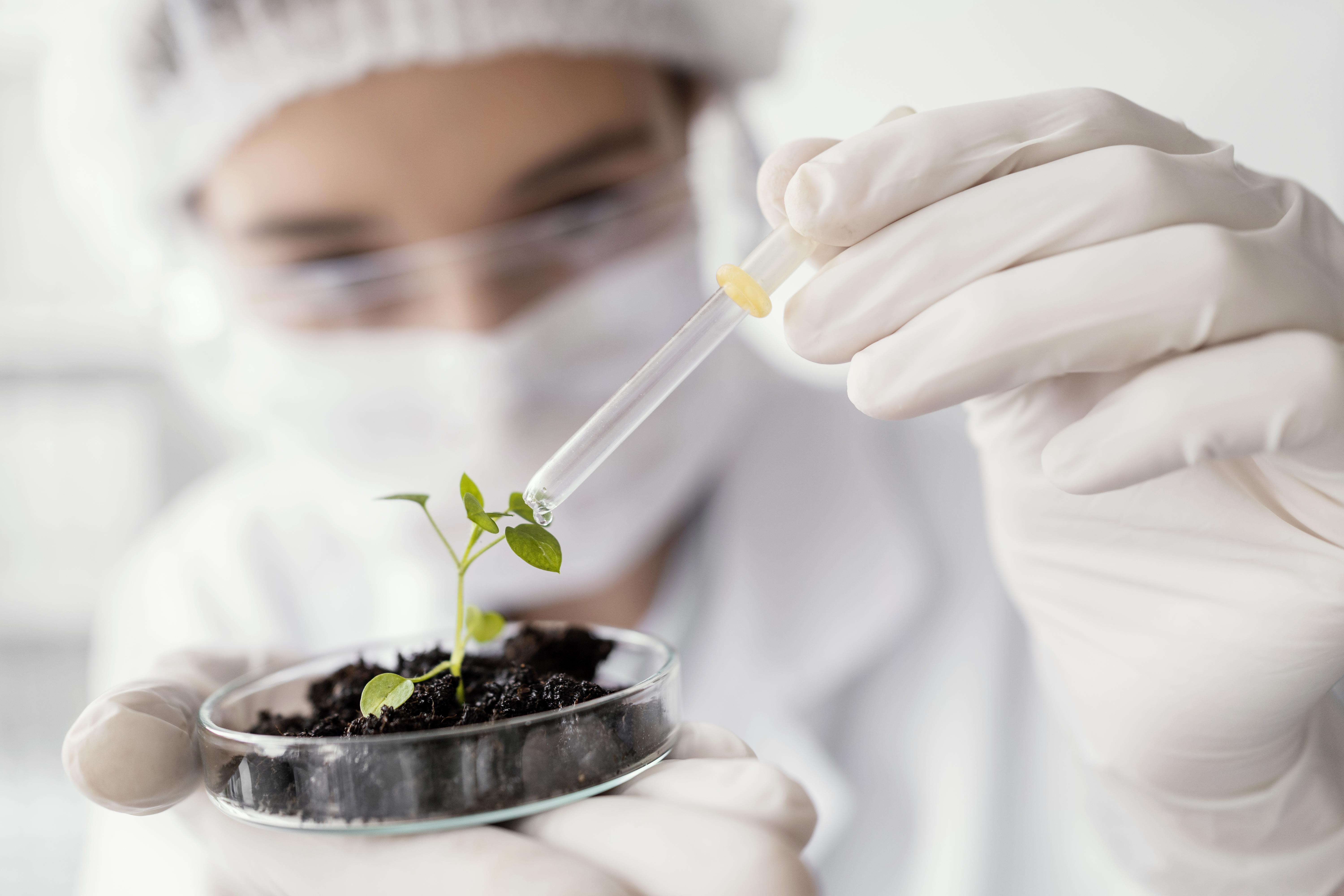 La biodiversidad es la solución; los transgénicos, no