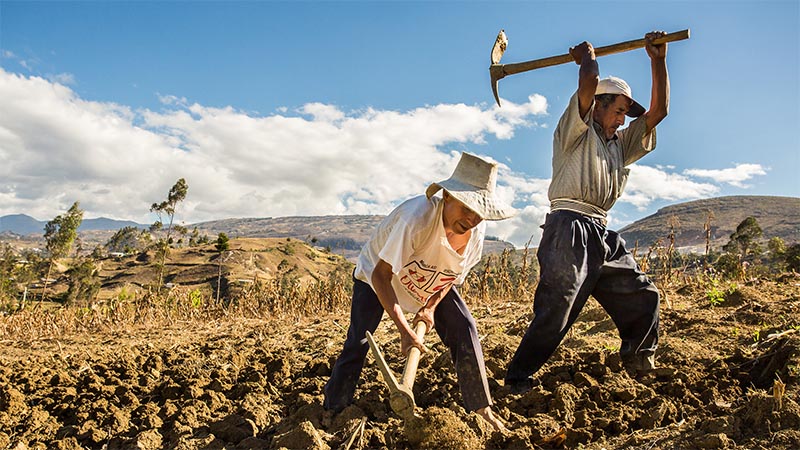 Repensando la ‘fractura histórica’: en torno al Estado rural de Javier Puente