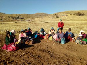 Un siglo de las comunidades de indígenas: balance del régimen jurídico de comunidad