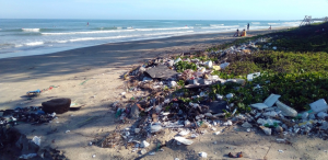 Problemas ambientales en el Perú