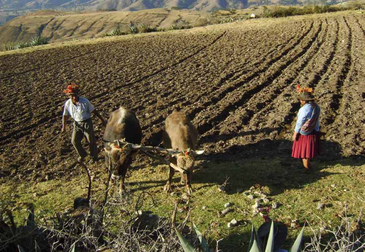 Tradiciones y desarrollo territorial